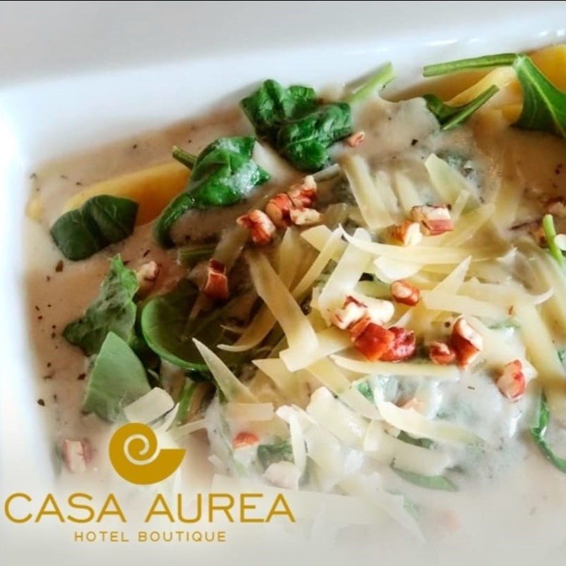 Casa Aurea Morelia 12