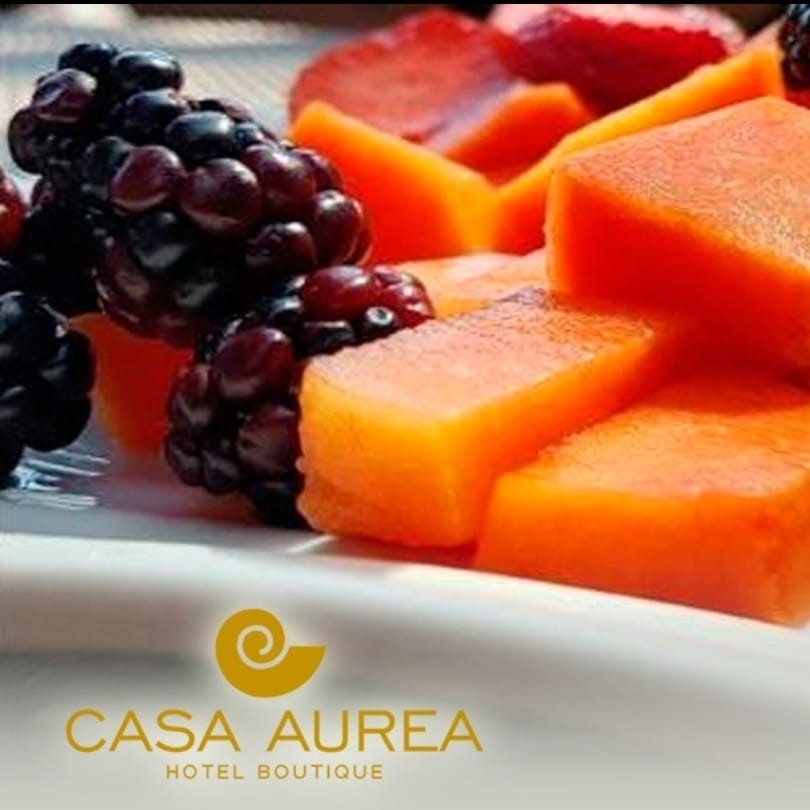 Casa Aurea Morelia 25