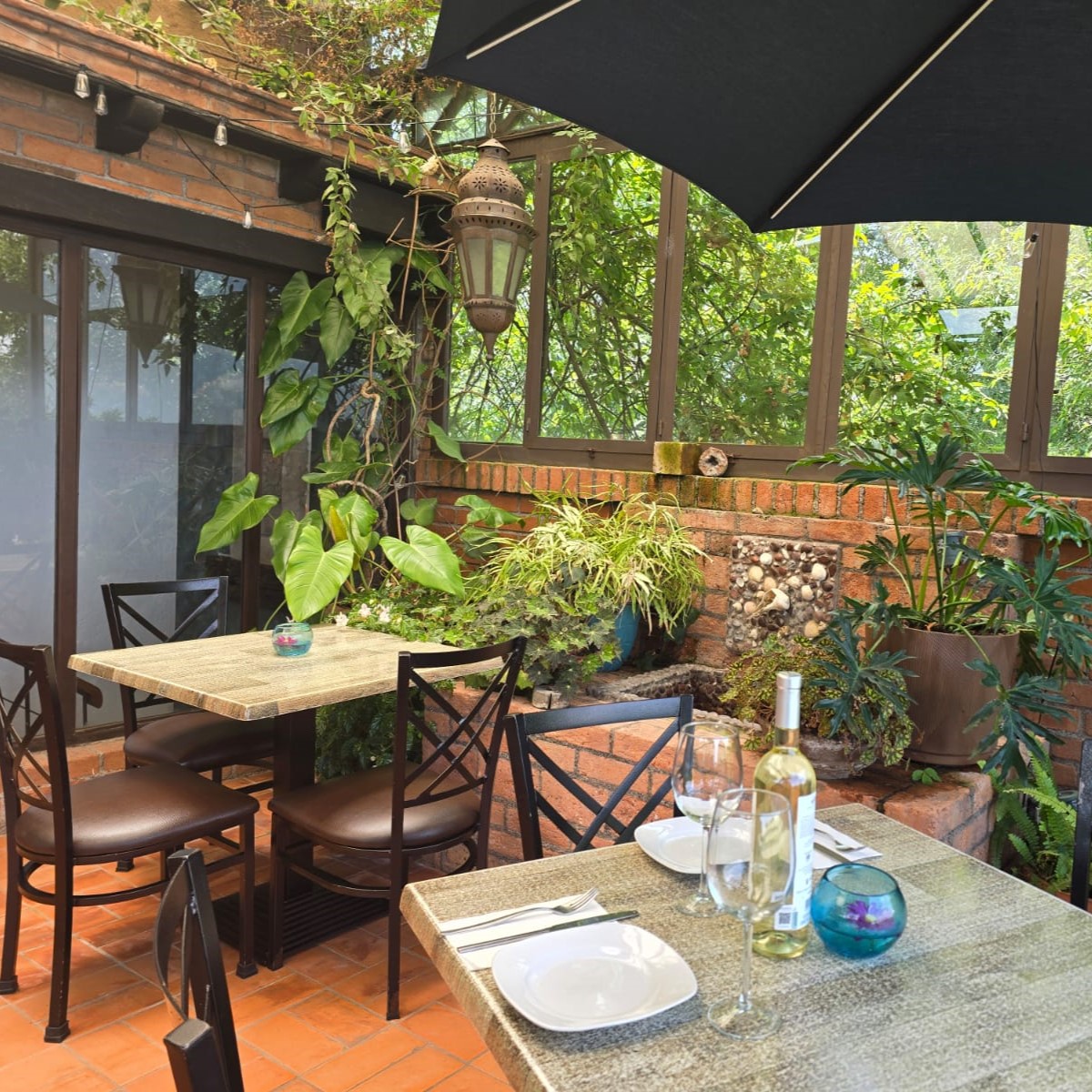Casa Aurea Morelia 13