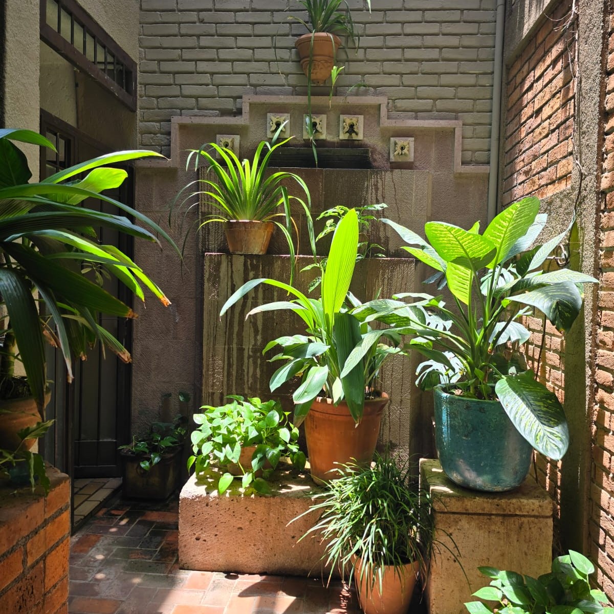 Casa Aurea Morelia 21