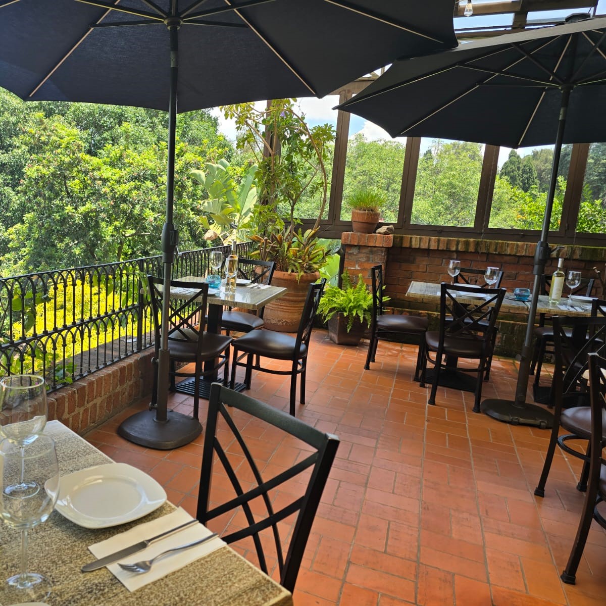 Casa Aurea Morelia 11