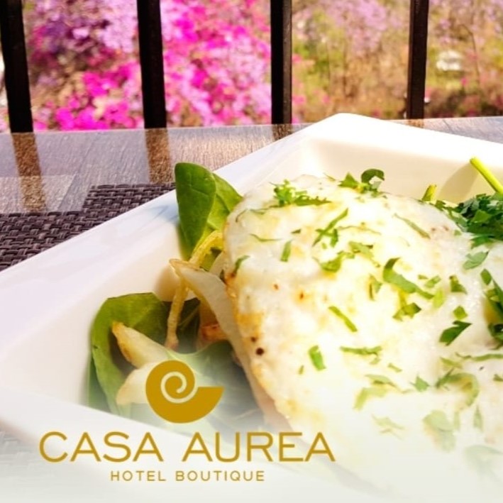 Casa Aurea Morelia 16