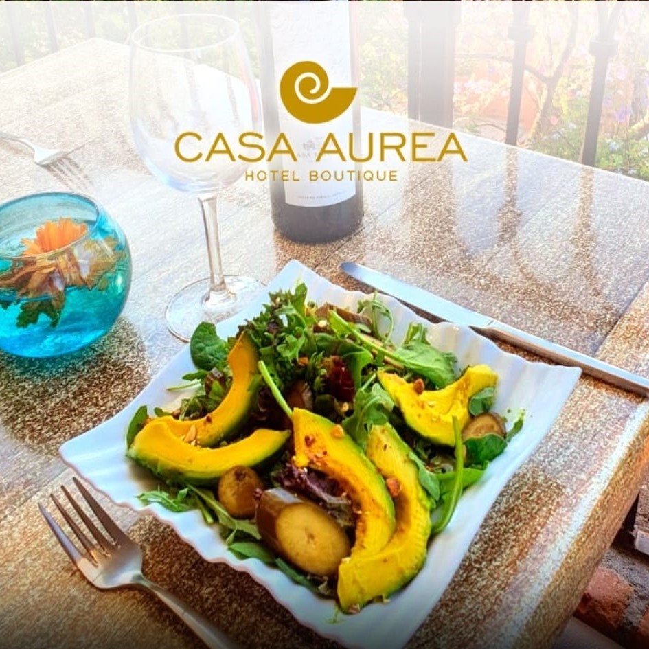 Casa Aurea Morelia 8