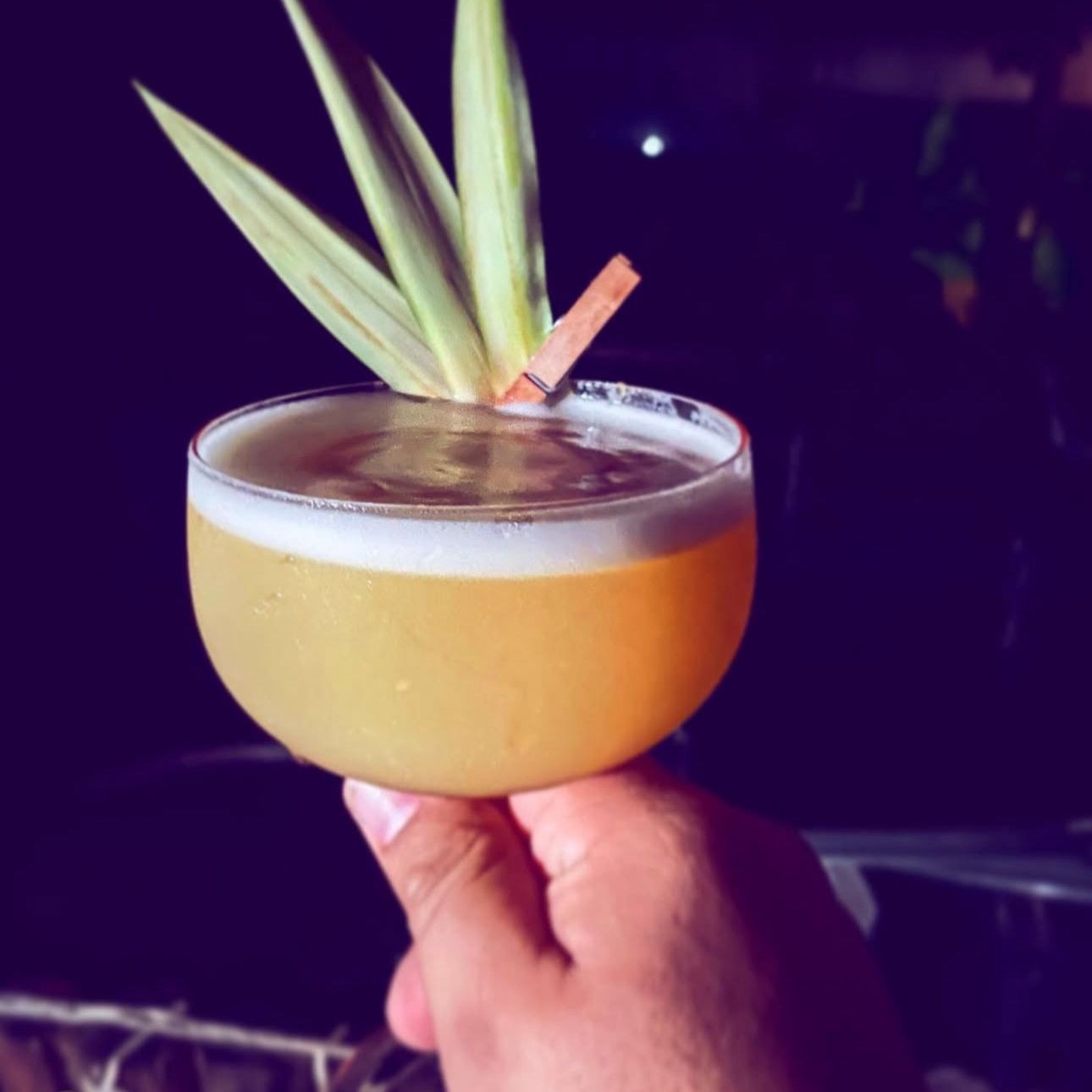 Barba Negra Holbox 10