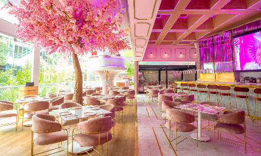 Pinky Room CDMX