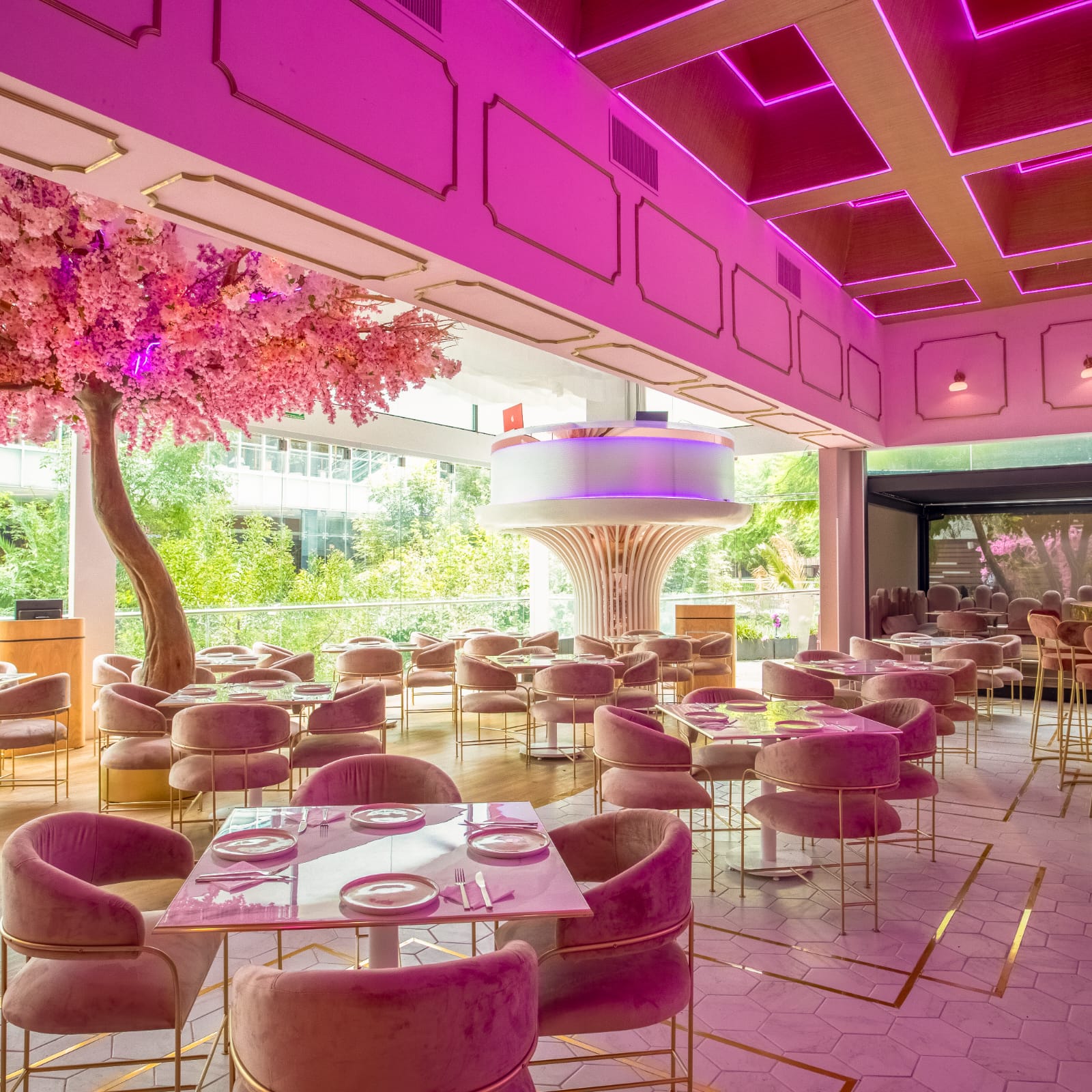 Pinky Room CDMX 19