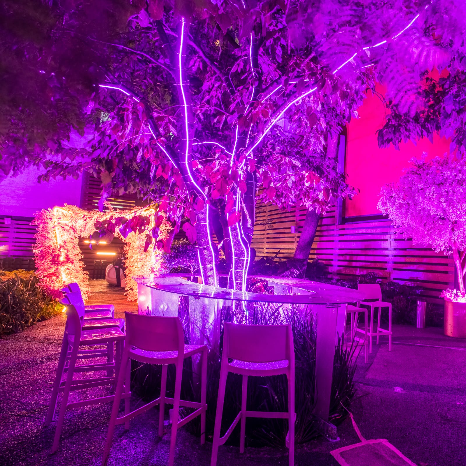 Pinky Room CDMX 13