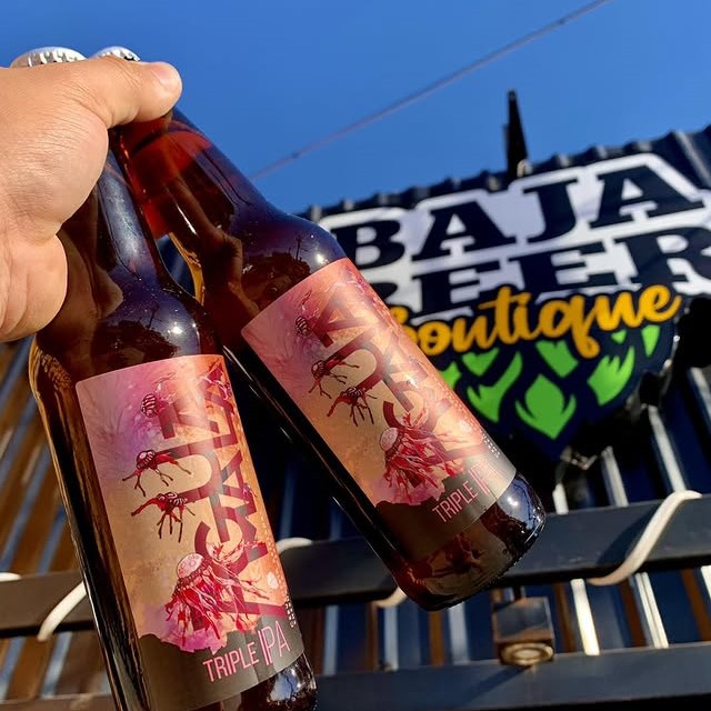 Baja Beer & Grill Mexicali 6