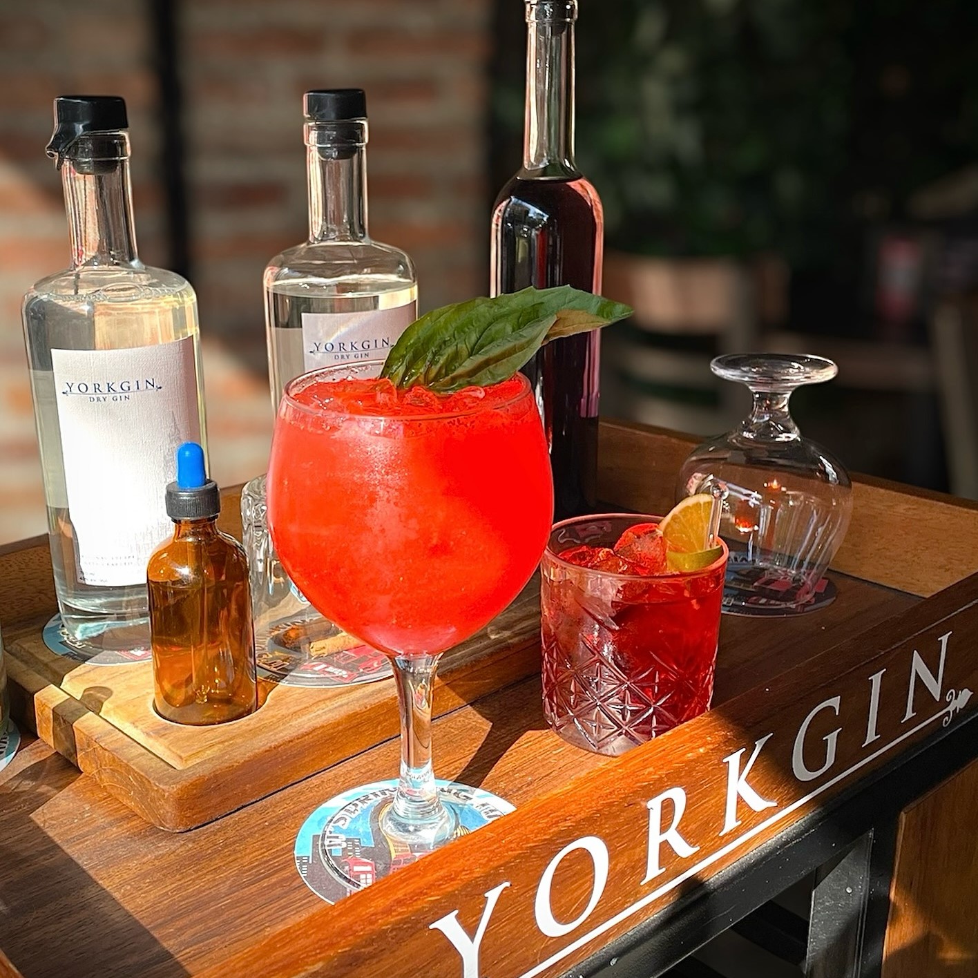 York Pub Puerto Vallarta 12