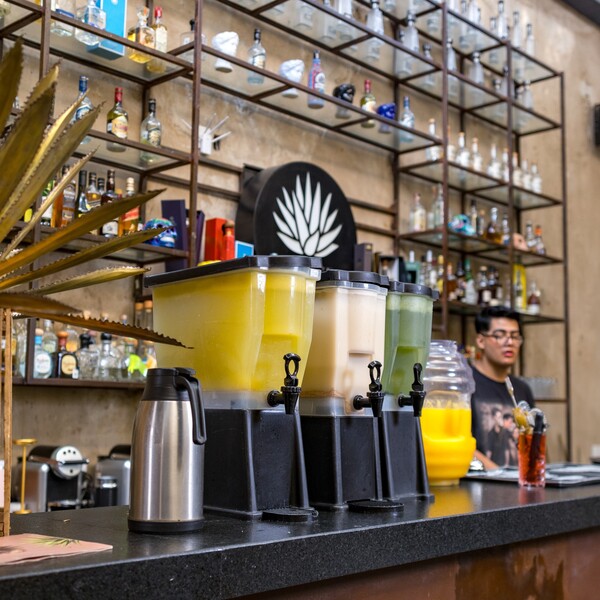 Agave Restaurante & Bar Tlaquepaque 10