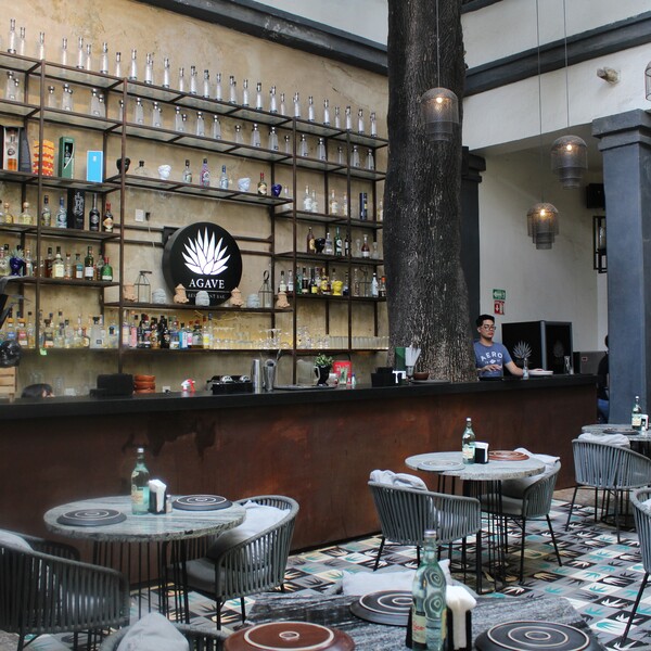 Agave Restaurante & Bar Tlaquepaque 22