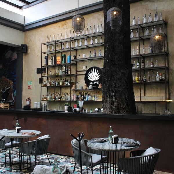 Agave Restaurante & Bar Tlaquepaque 44