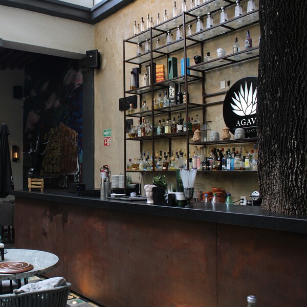 Agave Restaurante & Bar Tlaquepaque 30