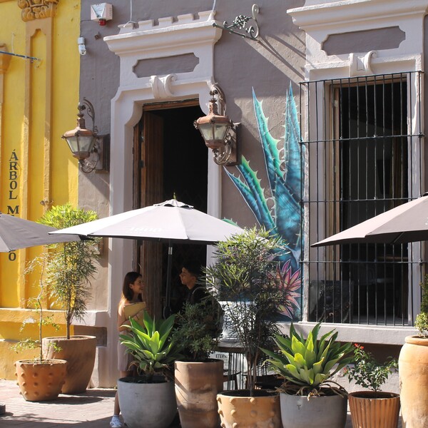 Agave Restaurante & Bar Tlaquepaque 20