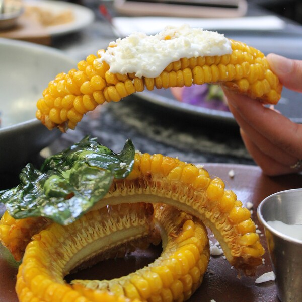 Agave Restaurante & Bar Tlaquepaque 46
