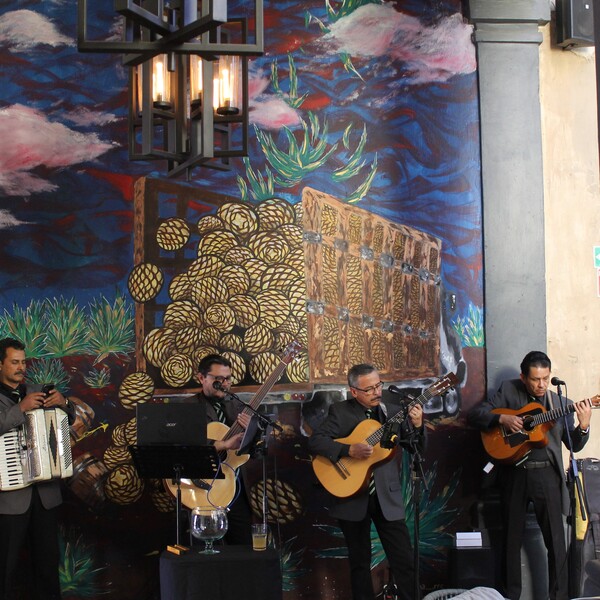 Agave Restaurante & Bar Tlaquepaque 18