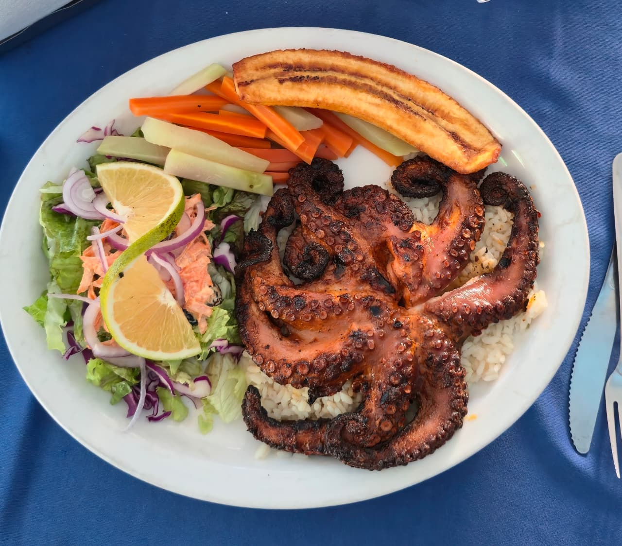 Mariscos Alfredos Guadalajara 11
