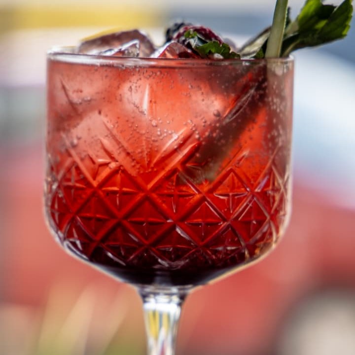 La Terna Comedor & Tragos Atotonilco 7