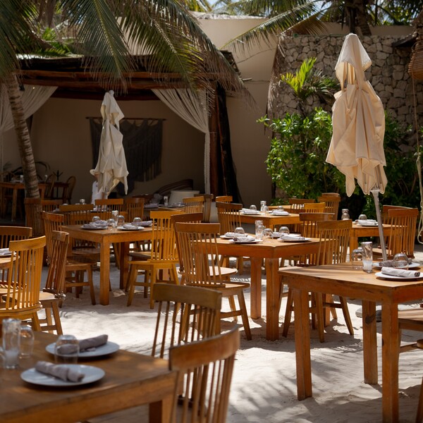 Taboo Beach Club Tulum 13