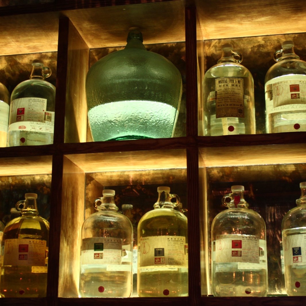 La Clandestina Mezcaleria Condesa 16