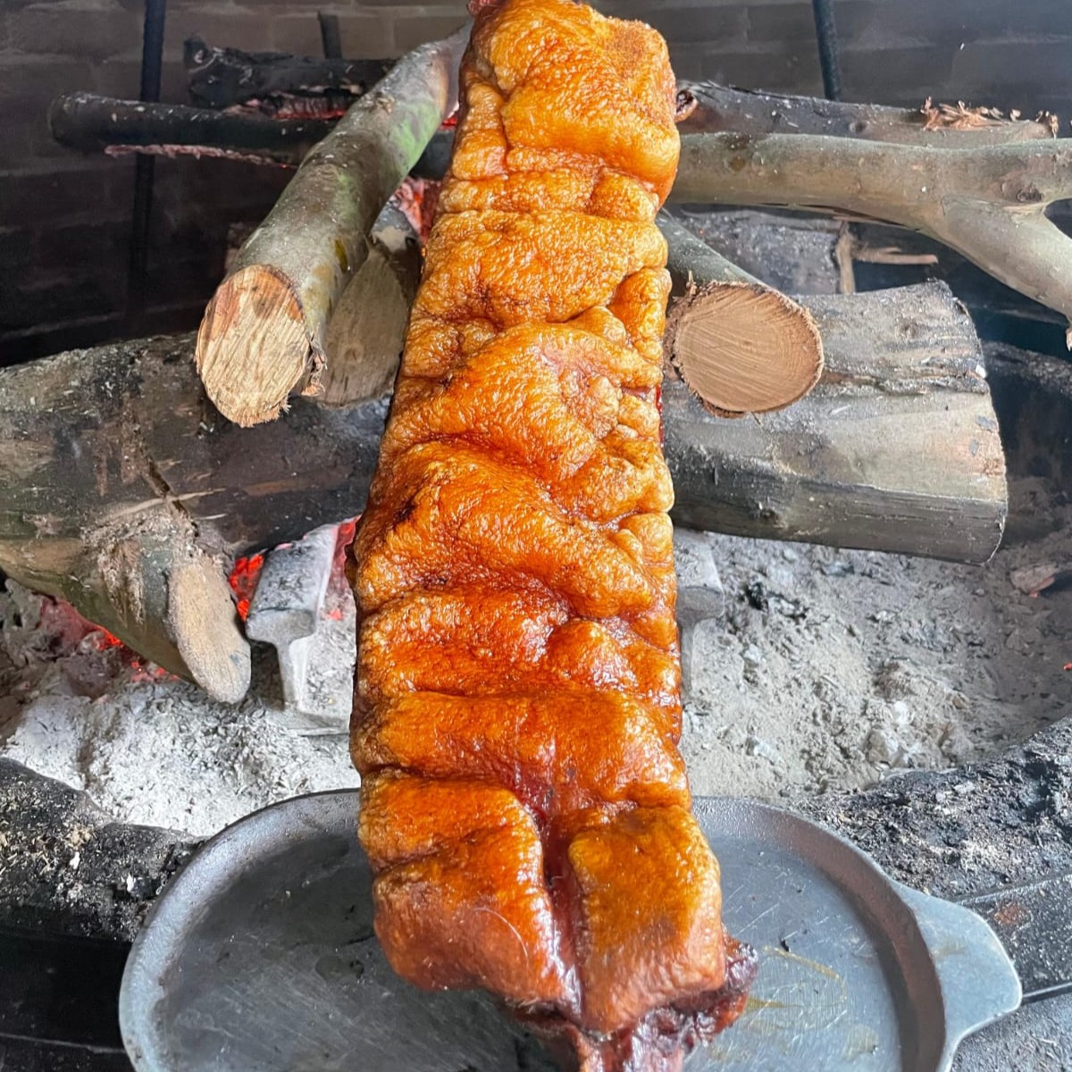 Carnívoros Paloquemao 10