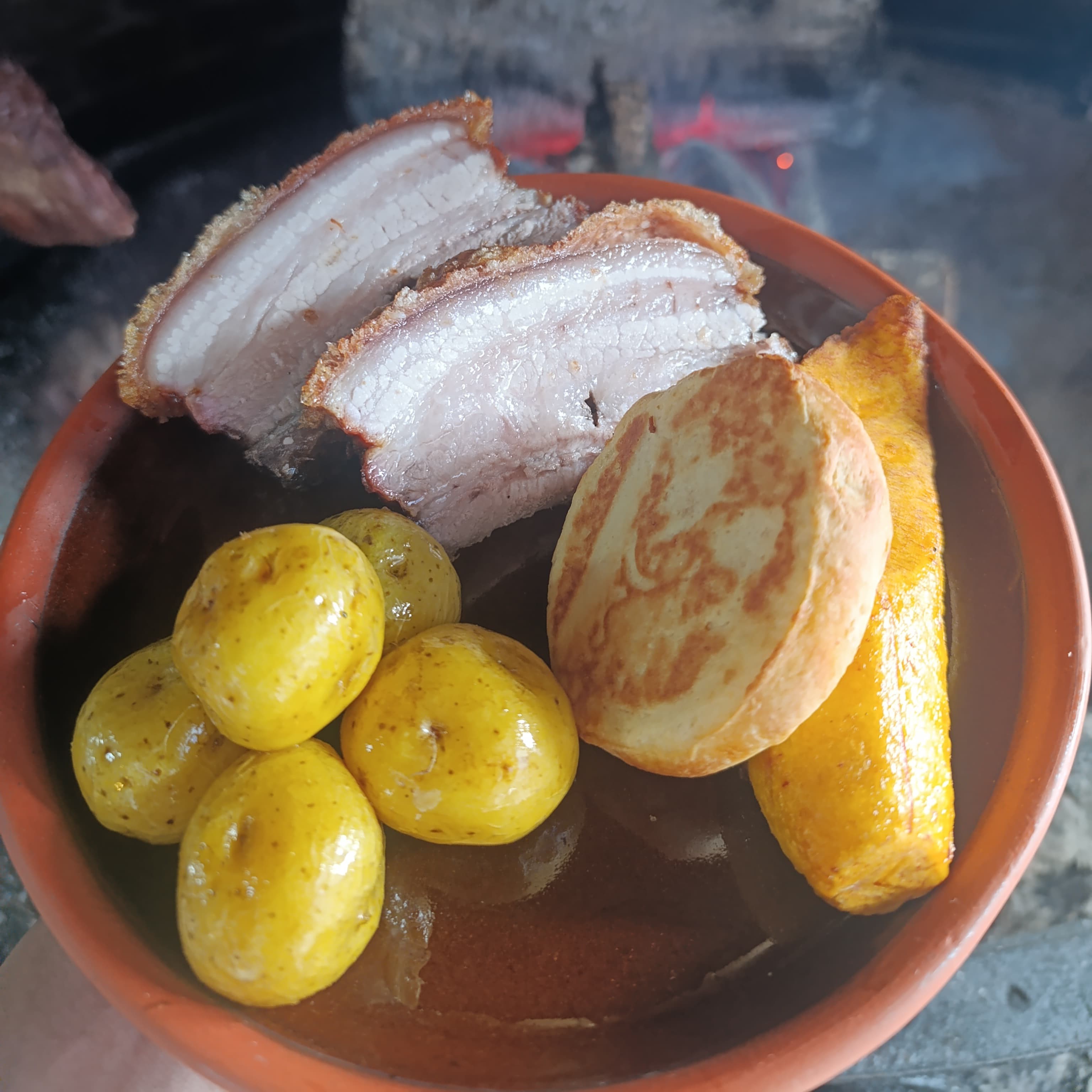 Carnívoros Paloquemao 12