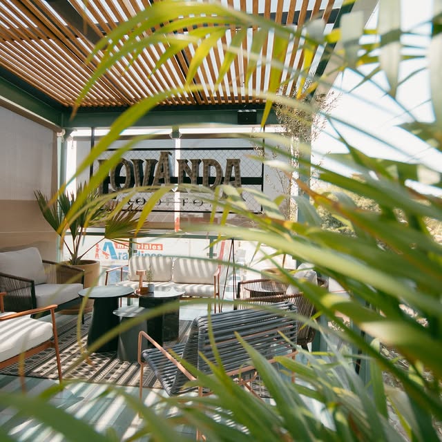 LOVANDA Rooftop Arandas 15