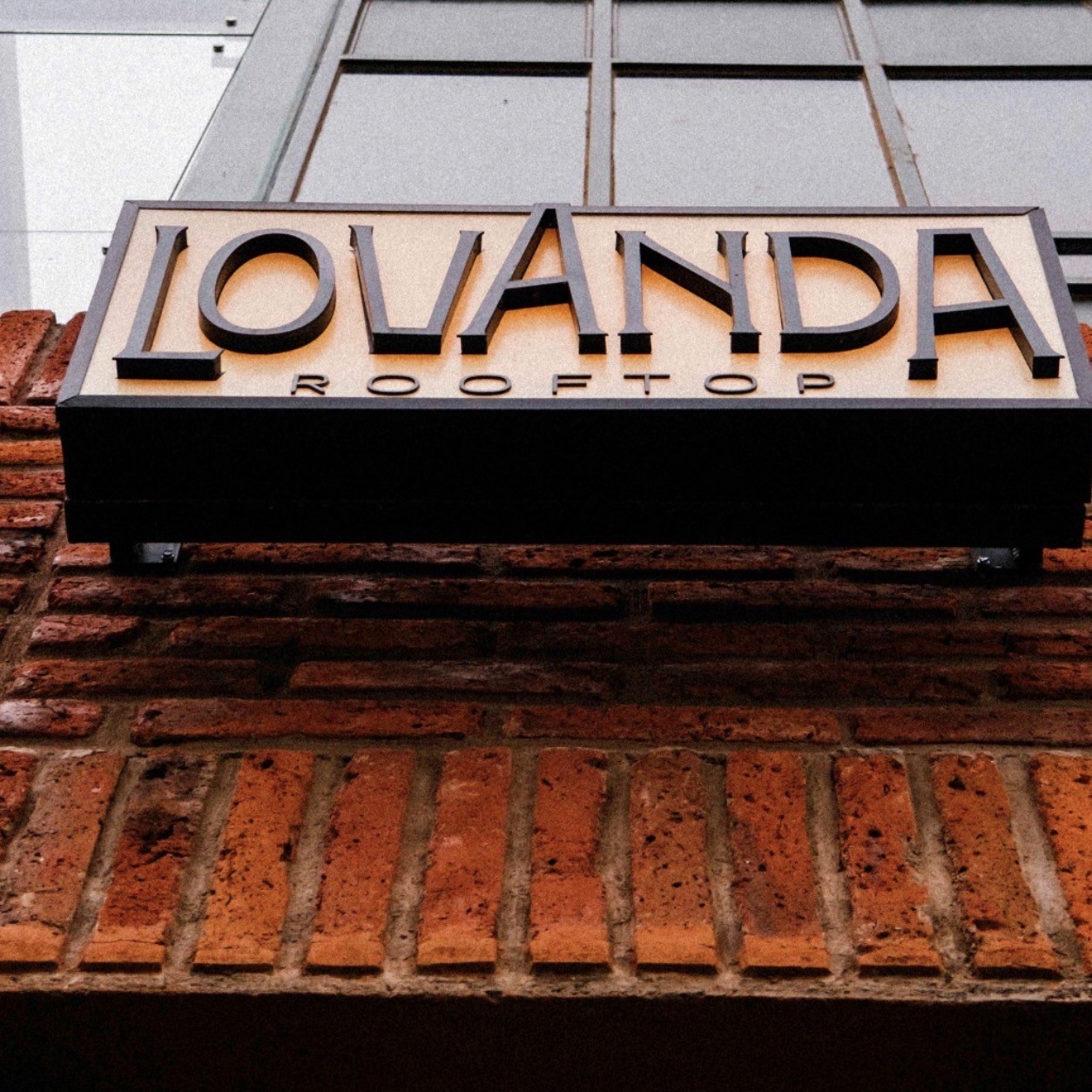 LOVANDA Rooftop Arandas 20