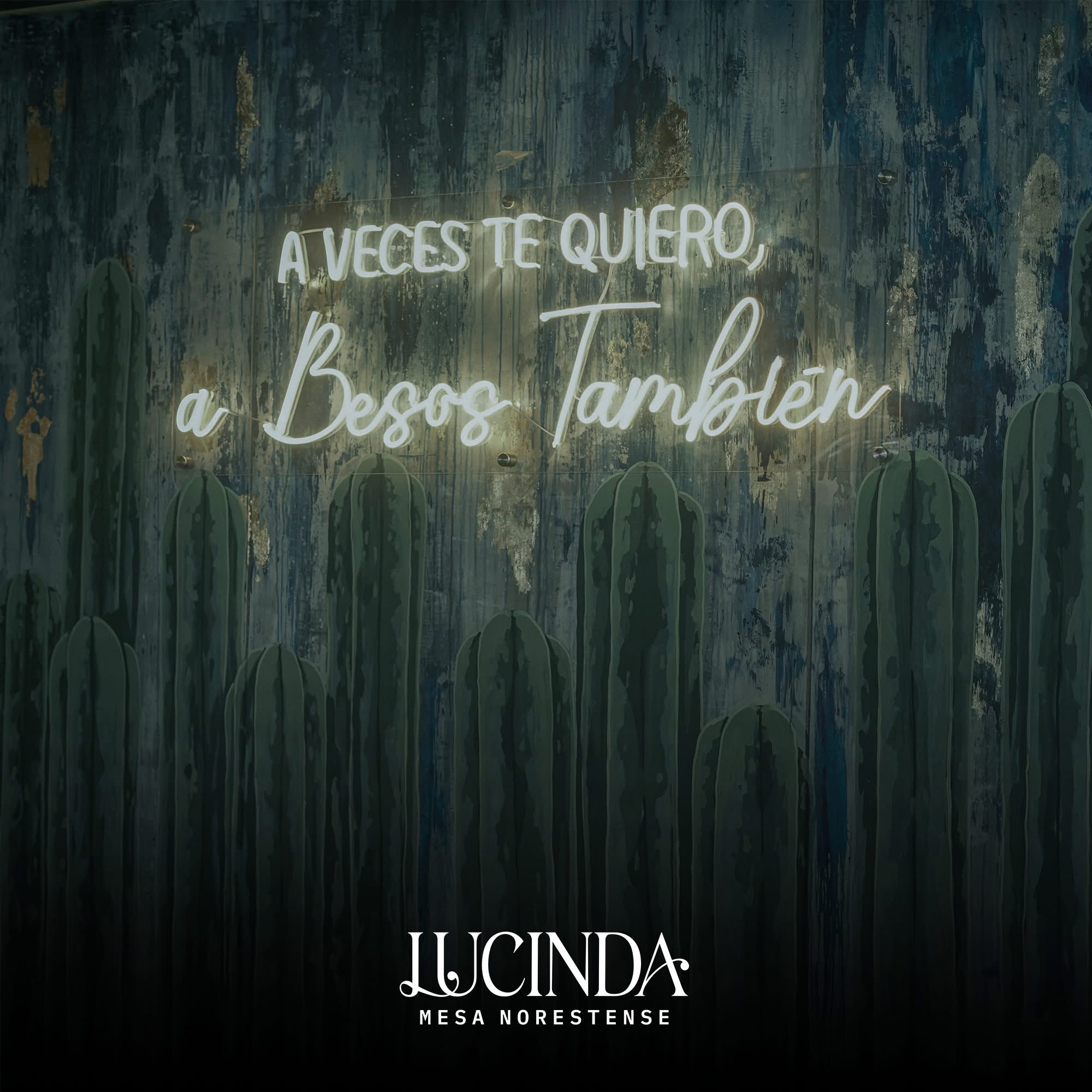 Lucinda Mesa Norestense Matamoros 7