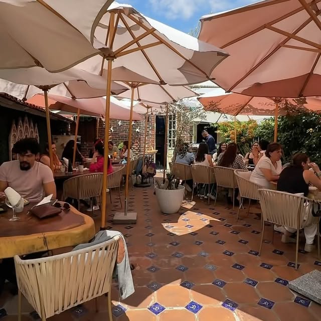 Buena Moza Bistro Querétaro 19