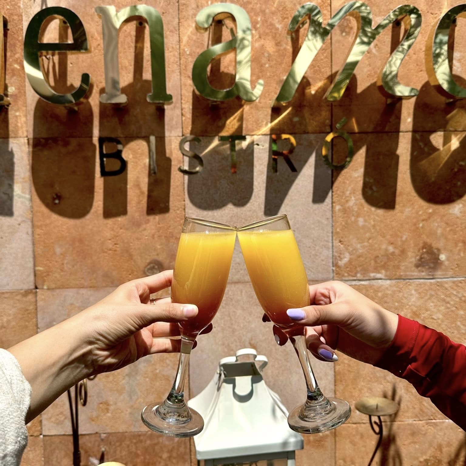 Buena Moza Bistro Querétaro 14