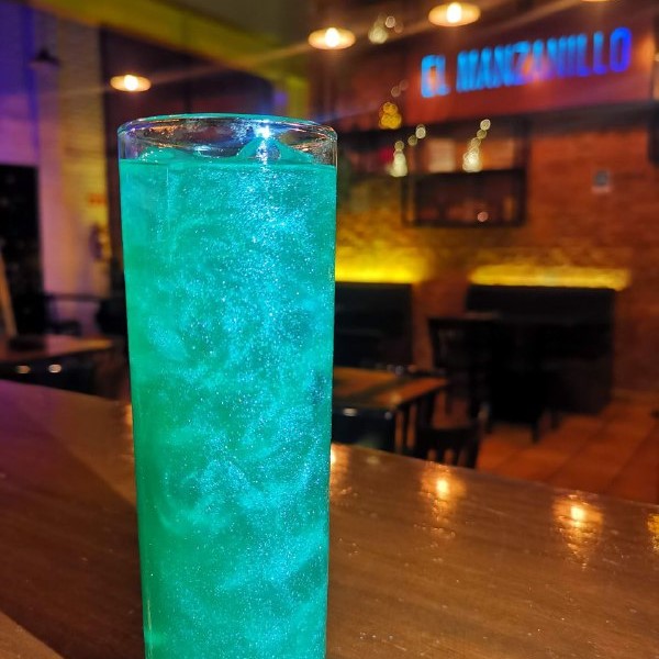 El Manzanillo Restaurante Pachuca 15