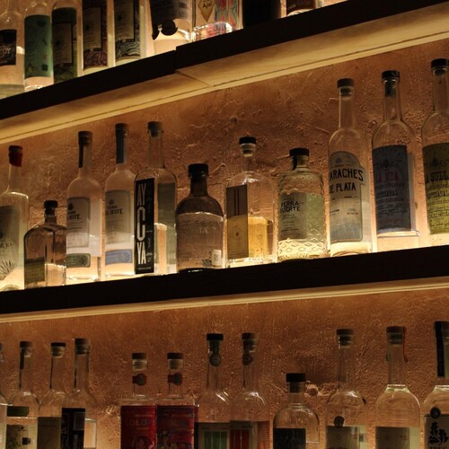 AXNO Bar Zapopan 7