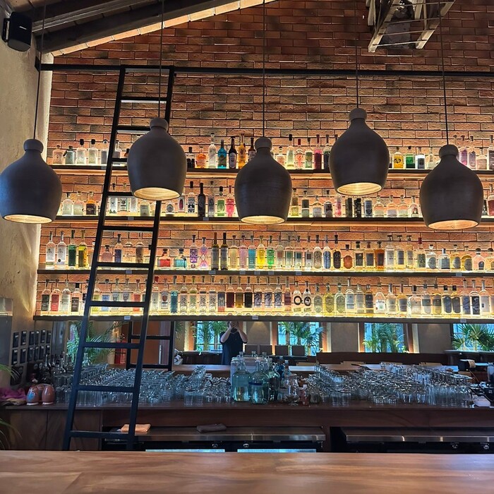 AXNO Agave Bar Puerto Vallarta 7