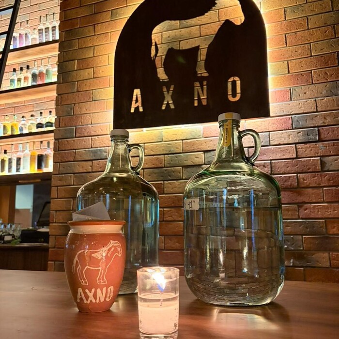 AXNO Agave Bar Puerto Vallarta 13
