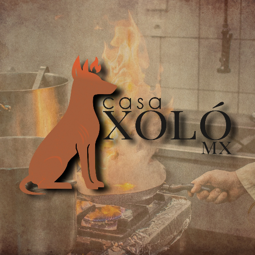 Casa Xolo San Luis Potosí