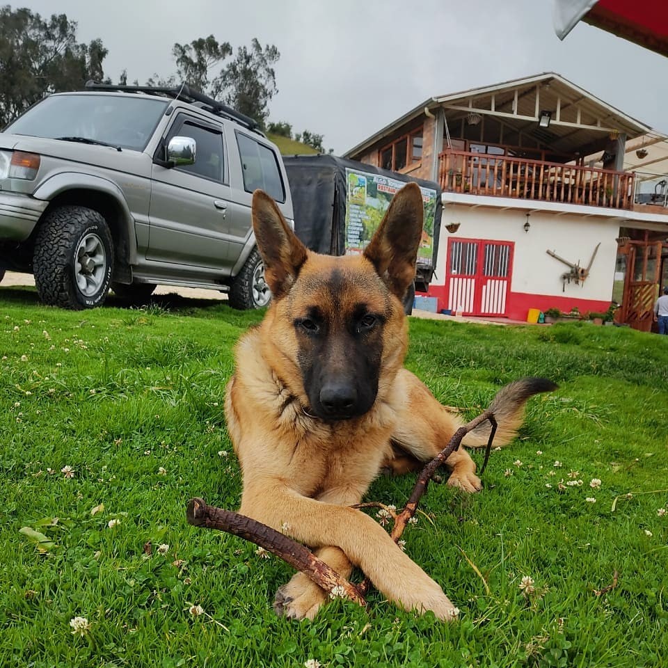 Granja Tematica la Dorada Bogotá 5