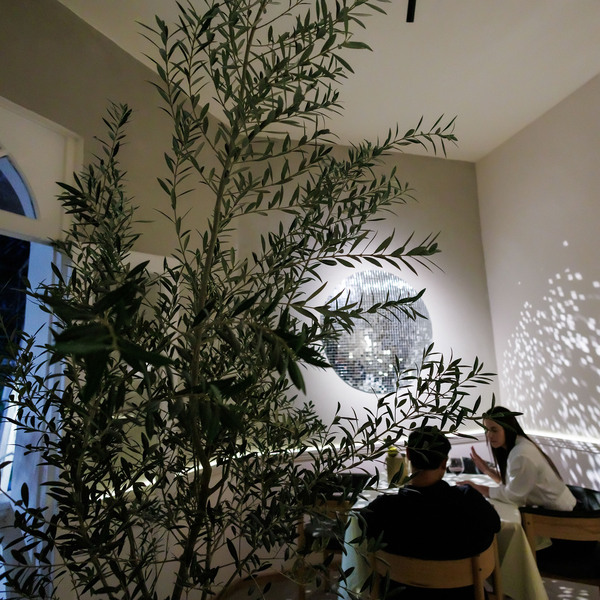 Naufragante Restaurant Roma 9
