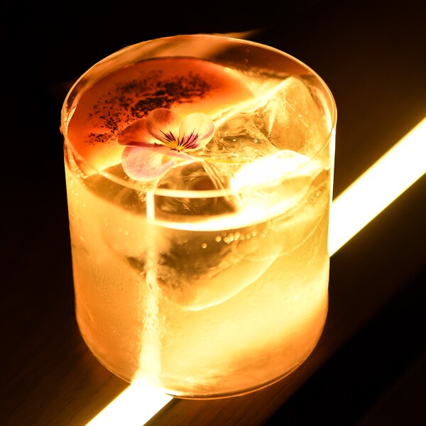 Terra Cocktail Bar Roma Norte 6