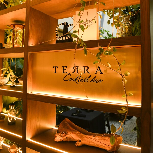 Terra Cocktail Bar Roma Norte 5