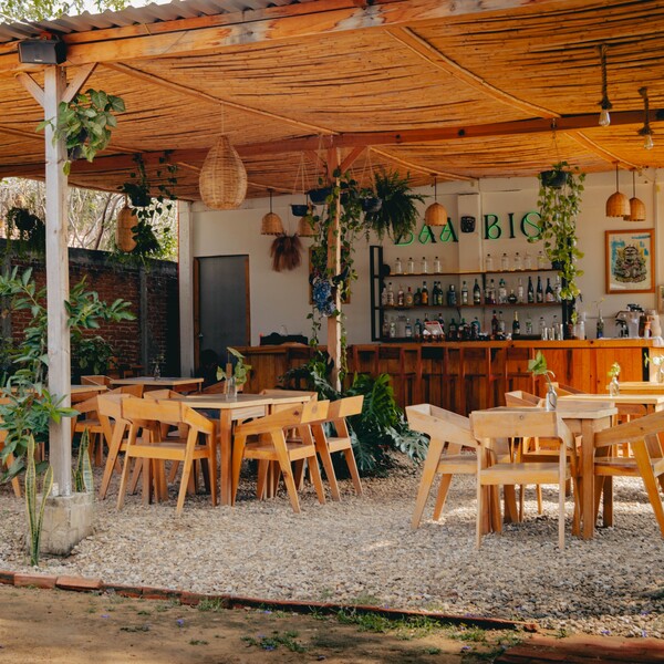 Zaabio Oaxaca 7