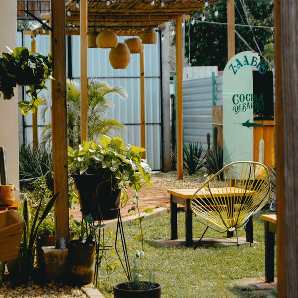 Zaabio Oaxaca - foto 3