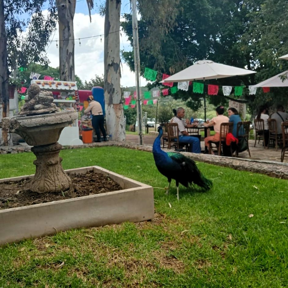 Ex Hacienda El Cimarrón León 23