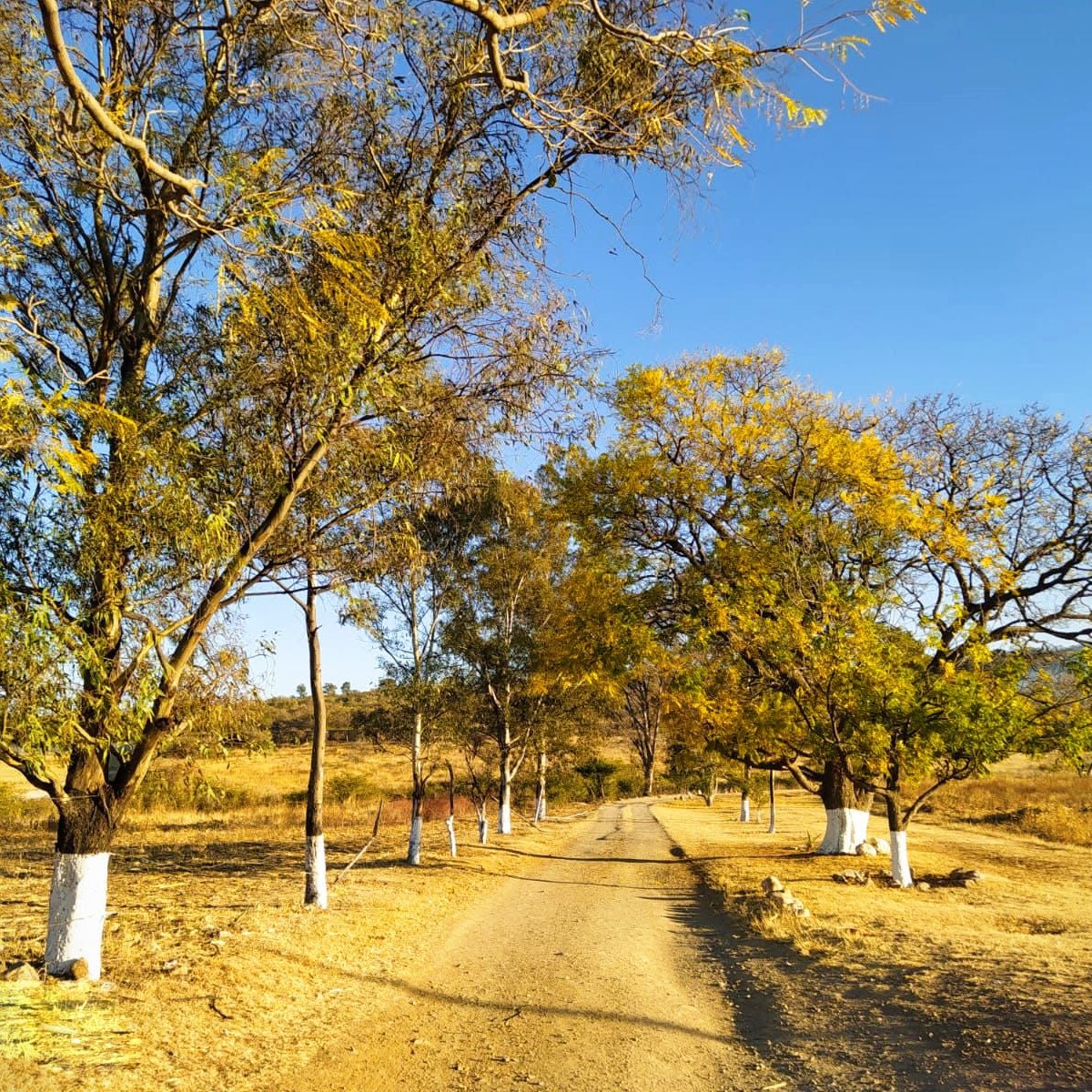 Ex Hacienda El Cimarrón León 25
