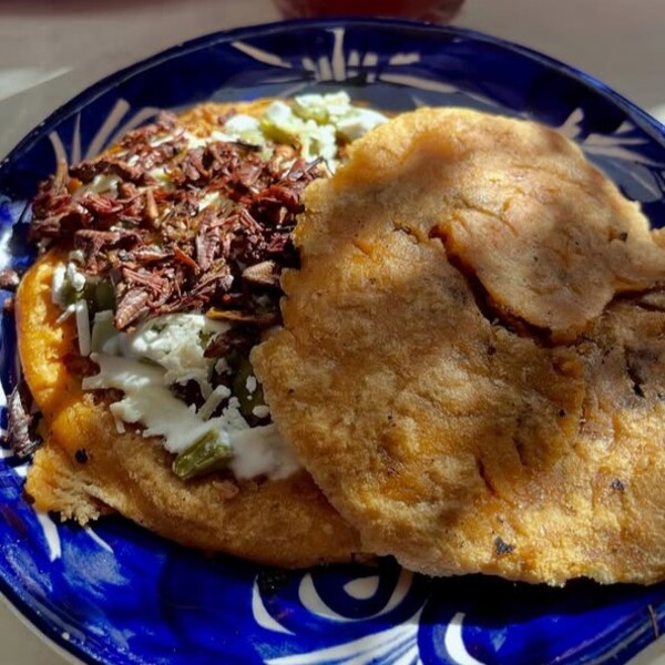 Restaurante El Trote CDMX 8