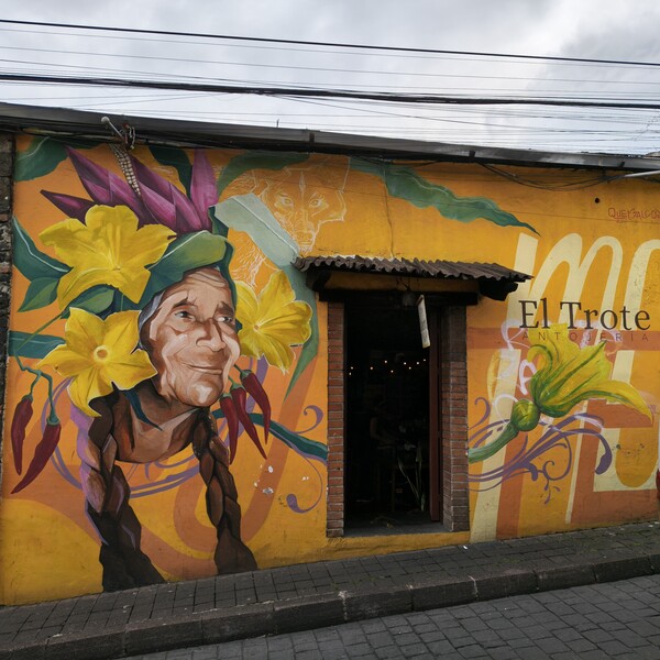 Restaurante El Trote CDMX 12