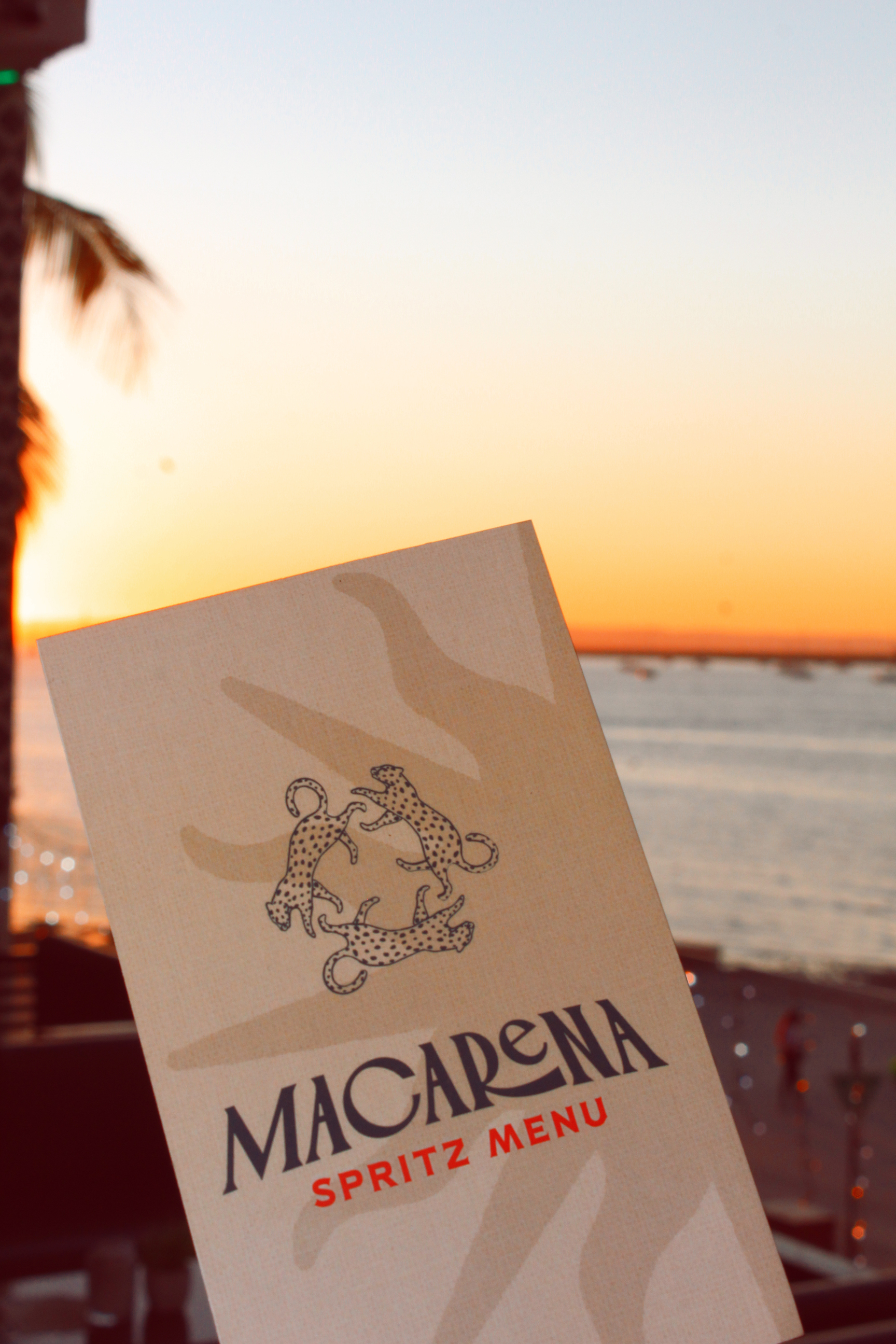 MACA Social Club La Paz 9