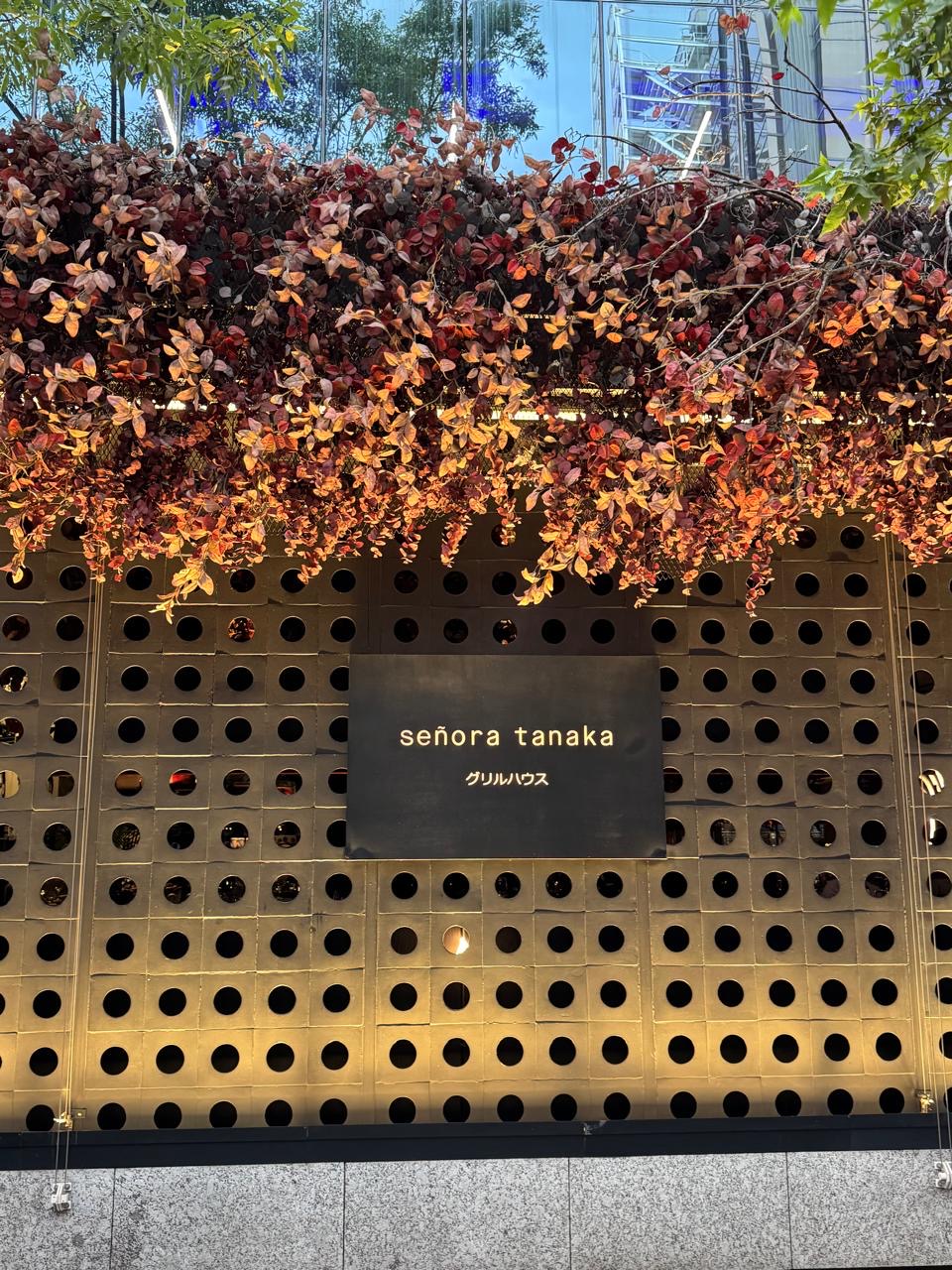 Señora Tanaka Masaryk 7
