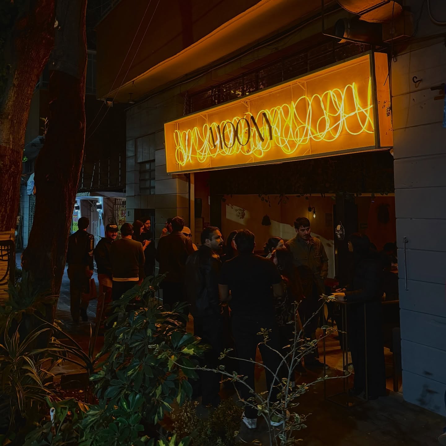 Moony CDMX - foto 1
