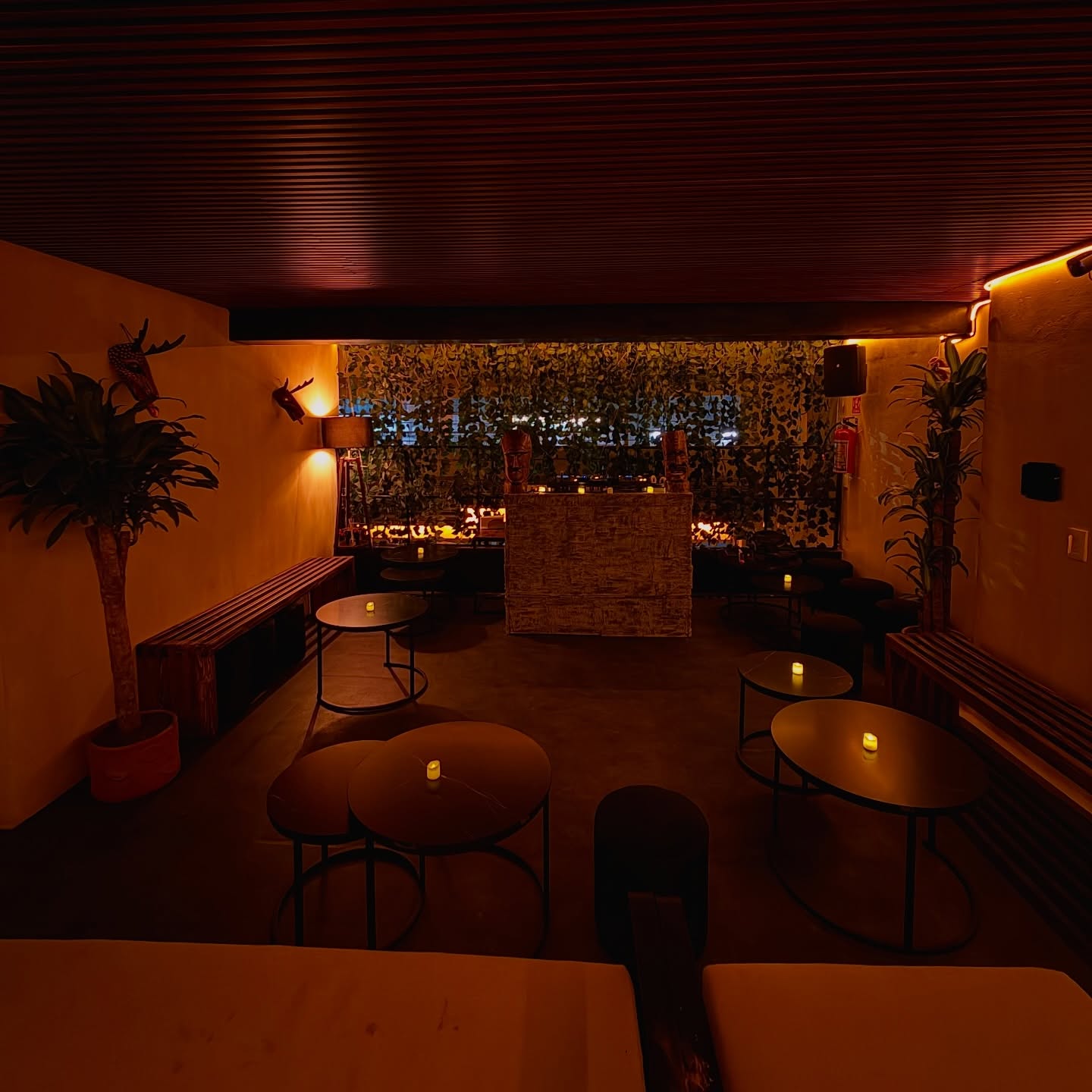 Moony CDMX 8